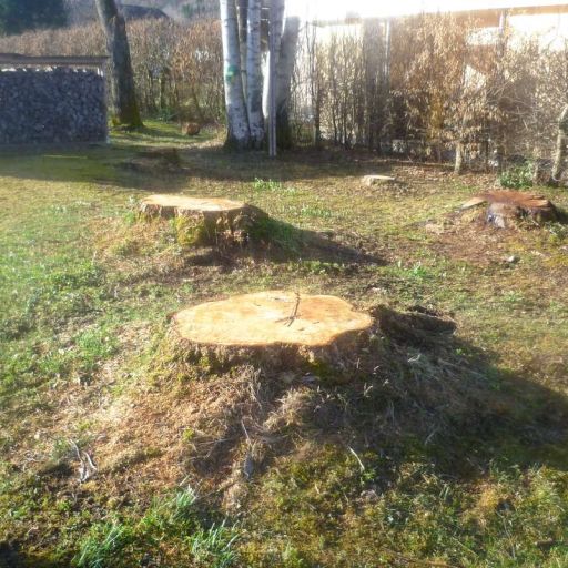 KEHRER HACK – Ihr Partner für Stockfräsen in Bayern